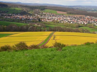 Gelbes Ackerland auf dem Altenberg